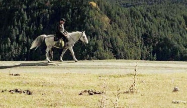 A white man rides a white horse against a backdrop of forest